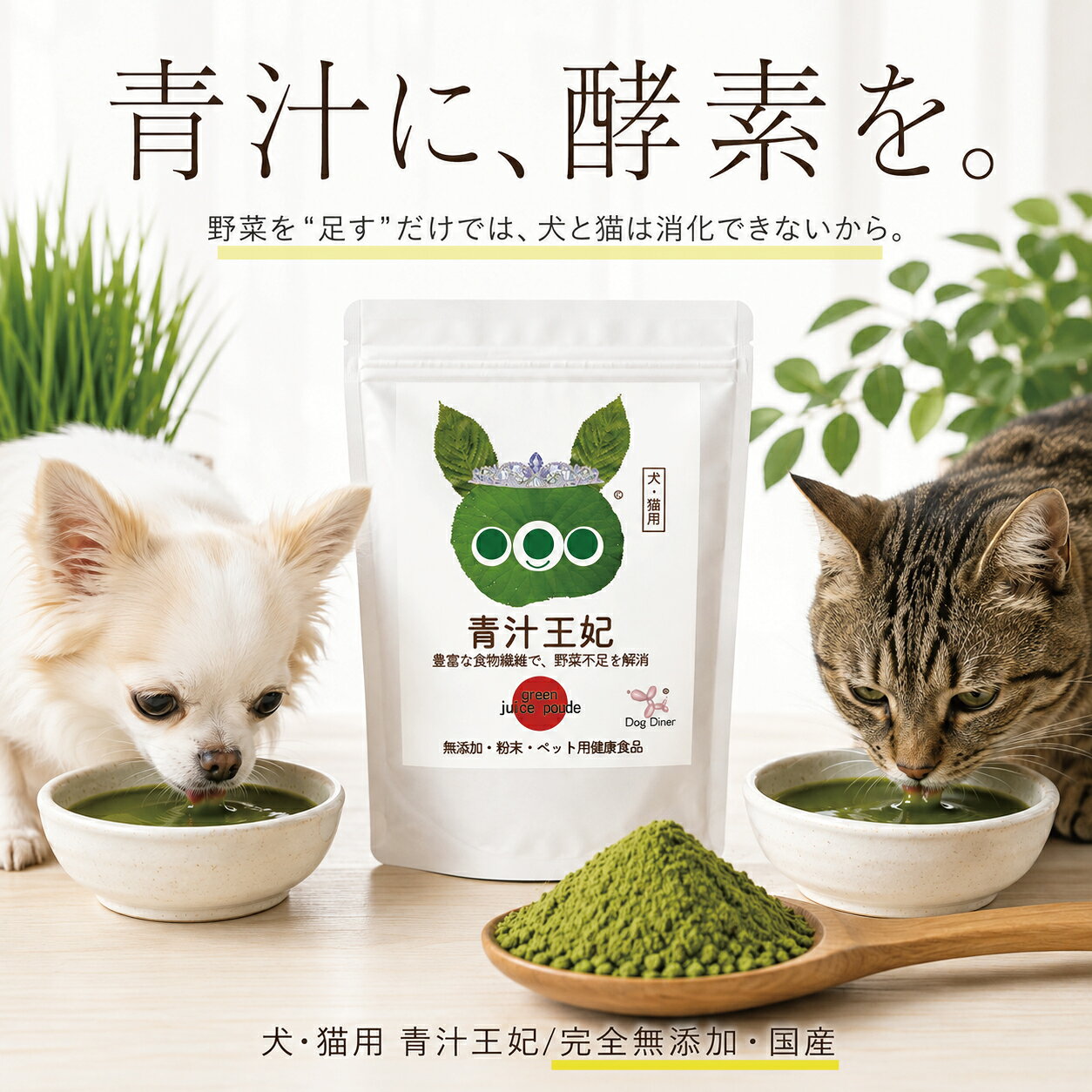 【楽天スーパーSALE 10%OFF】【無添加・国産】犬 猫用 青汁 王妃 30g / 90g 酵素入り 大麦若葉 モロヘイヤ 野菜不足 腸内環境 腸活 腸内フローラ 食物繊維 ふりかけ トッピング パウダー 粉末 犬用 猫用 サプリ dogdiner-10005329 犬猫の健康食専門店ドッグダイナー サンプル画像2