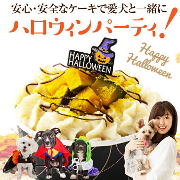 犬用 アイス ケーキ(ハロウィン アイスクリーム)無添加 国産 ハロウイン スイーツ お菓子【クール便】