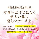 犬用 誕生日ケーキ(鶏肉のミートローフ ケーキ)無添加 名入れ可【クール便】 3