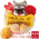 犬用 似顔絵 ケーキ(鶏肉)・ギャートルズの肉(犬・誕生日ケーキ)無添加【送料無料】