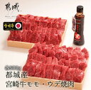 宮崎牛 都城市 焼肉 モモ肉 ウデ 各500g 1kg 宮崎県 黒毛和牛 牛肉 焼き肉 セット 冷凍 高級肉 ギフト 黒毛和牛食べ比べ ブランド牛 食べ比べ 焼肉用 焼き肉ギフト 黒毛和牛焼肉 焼肉食べ比べセット 牛モモ 牛もも肉 赤身肉