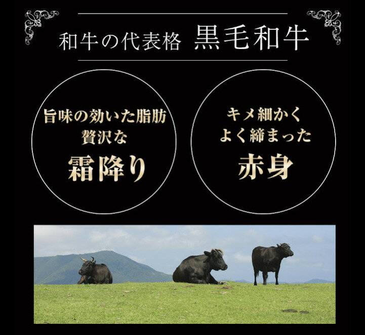 産地直送 宮崎県 都城市 宮崎和牛 宮崎産 黒毛和牛 切り落とし 500g すき焼き肉 カレー肉 地域応援 国産 牛肉 都城産 お取り寄せグルメ すね肉 スネ肉 牛ネック プレゼント 女性 男性 誕生日 ギフト 九州産 母の日 父の日 セール対象 お買い物マラソン 9月 いつから？