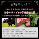 ＼お買い物マラソン限定 クーポン利用で5%OFF／宮崎牛 焼肉 400g 焼肉セット 国産 肩ロース うで (各200g) 牛肉 和牛 焼き肉 高級肉 ギフト 黒毛和牛 お肉セット 焼き肉セット 牛肩ロース 赤身肉 牛ウデ 肉ギフト 高級グルメ お取り寄せグルメ 高級 お祝い 内祝い 詰め合わせ 2