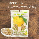 ゆずピールハニーハニーチップス 30g 宮崎県産 ゆず使用 須木特産 九州 蜂蜜 柑橘 外果皮 皮 ピール チップス お菓子 おやつ 駄菓子 和菓子 洋菓子 果物 買い回り対象 ポイント消化