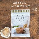 商品詳細 ◎名称 しょうがグラッセ ◎内容量 30g ◎商品説明 宮崎県産しょうがを炊き上げた後、糖密に漬け込んで4日間かけて少しずつ糖度を上げて、そのままグラッセに仕上げました。 ◎注意事項 ●メール便にて発送の為、 同梱、代引き、日時指定はご利用いただけません。(お客様のポスト受けにお荷物が入らない際に日本郵便の不在表が入る場合がございます、その際はお早めに再発送の手続きをお済ませください。) ●不在等でお荷物が受け取れず差出人返還になった場合でも、返金、送り直しはできませんので予めご了承ください。(お荷物の保管期限は7日となりますので、お早めに受け取りをお済ませください。) ●納品書、請求書、領収書は商品に同梱しておりません。 ◎原材料 しょうが(宮崎県産)、砂糖 ◎製造地 宮崎県小林市 ◎配送温度帯 常温 ◎賞味期限 製造から8カ月 ◎保存方法 直射日光、高温多湿を避けて保存してください。 ◎ネット販売者 宮崎どげんかせんとい館 880-0001宮崎県宮崎市橘通西3-1-26 長谷川ビル2F ◎栄養成分表示 エネルギー 106kcal たんぱく質 0.07g 脂質 0.04g 炭水化物 26.2g 食塩相当量 0.0025g 当店大人気商品 肉巻きおにぎり10個 5380円 鶏の炭火焼き7袋 3000円 シトラスシトワール2本 3500円 宮崎牛のおすすめ商品 宮崎牛こま切れ600g 5500円 宮崎牛モモブロック 10800円 宮崎牛ヒレステーキ 18450円