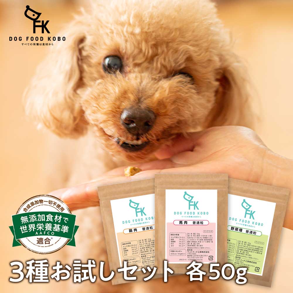 お試しフード 50g×3種類 送料無料 550