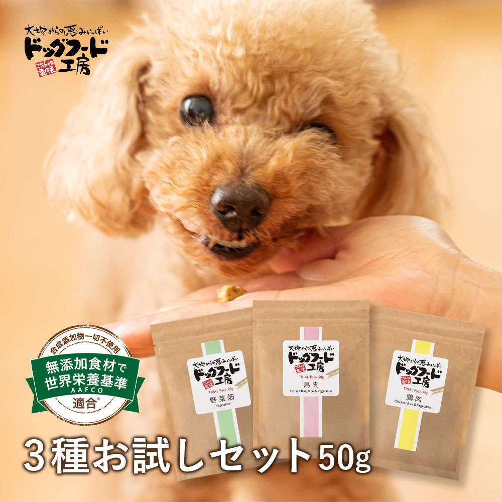 お試しフード 送料無料 550円【無添加 国産 ドッグフード工房】3種(50g×3種) 馬肉 鶏肉 野菜畑 /全犬種 お試し ドックフード | 小型犬 成犬 シニア ドライフード 犬 餌 ごはん 犬用 老犬 超小型犬 中型犬 大型犬 ドッグフード えさ 低脂肪 自然食 ペットフード お試しセット