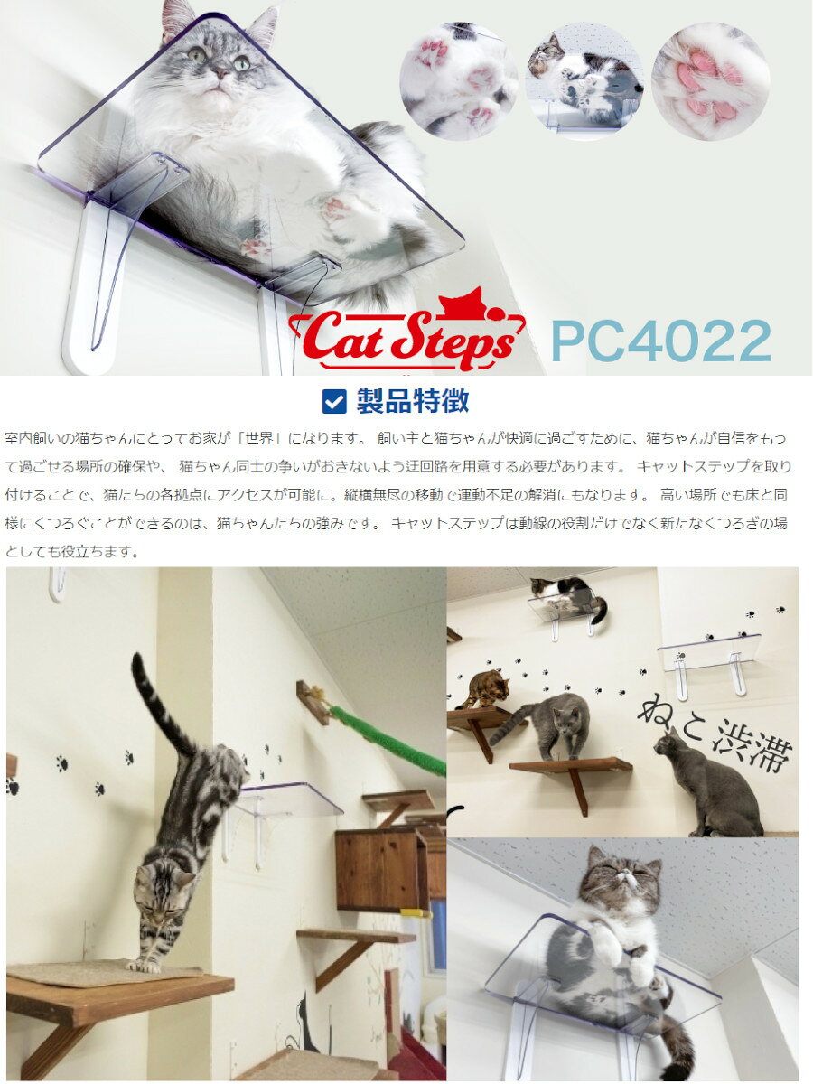 ドッググリッター DOGGLITTERのキャットステップ｜アングル2