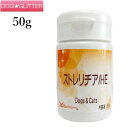 Xg`AHE 50g(`[WHE)