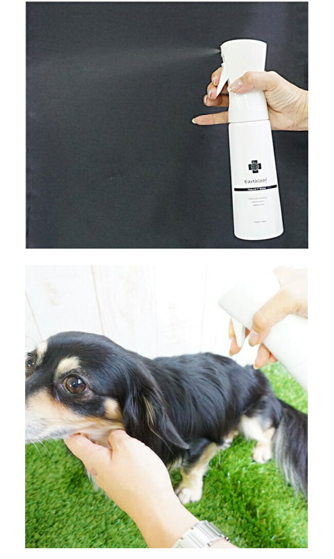 EARTH LEAF���������꡼�եʥ�����F������������300ml�ʥ��ץ졼���󥿥��ס�