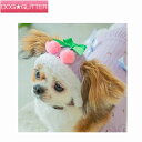 ガーデンオブエデン さくらんぼニットCAP犬用 ペット用 帽子 キャップ 撮影 全2色 GARDEN OF EDEN