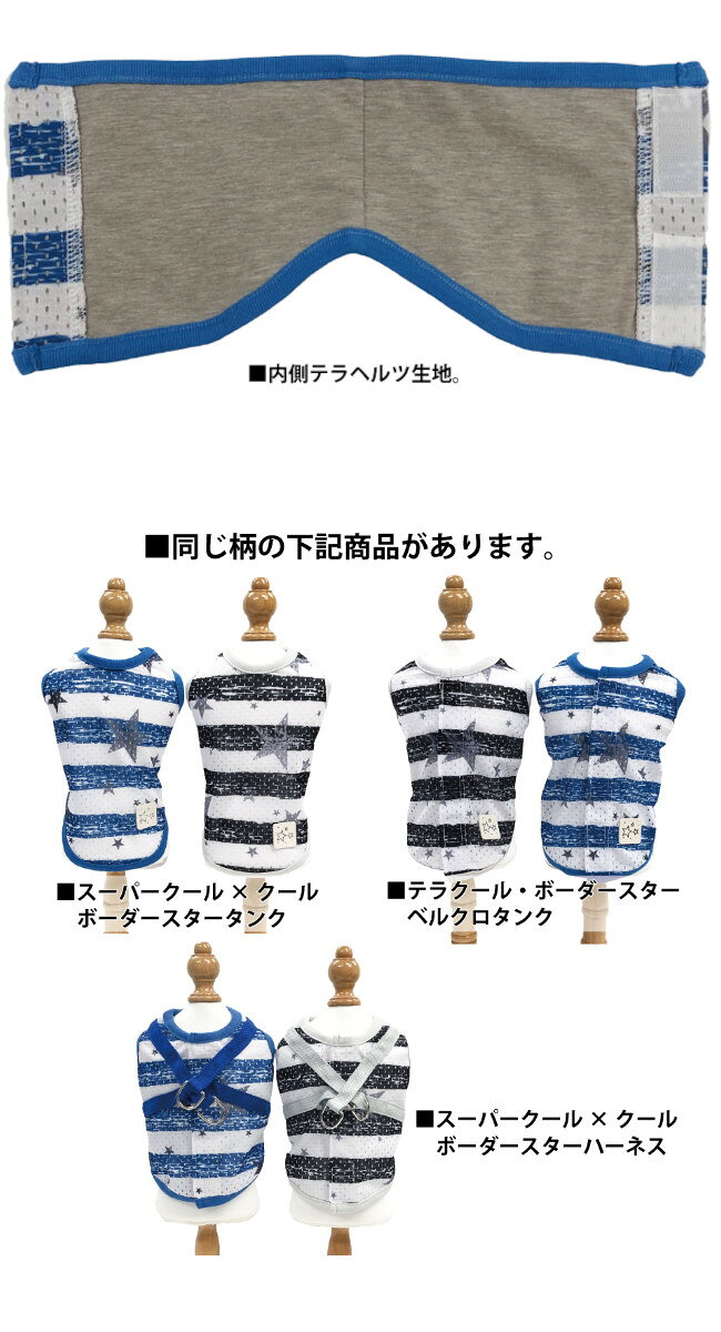 ドッググリッター DOGGLITTERのクークチュール テラクール ベルクロテラバンド ボーダースターベルクロバンドBOY小型犬 男の子用 春夏 腹巻 可愛い かわいい 冷温グッズ 冷感素材 CooCouture TERACOOL2025｜アングル3