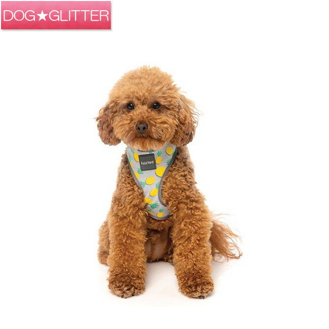 ファズヤード ソフトハーネス ピニャ・コラーダ Lサイズ