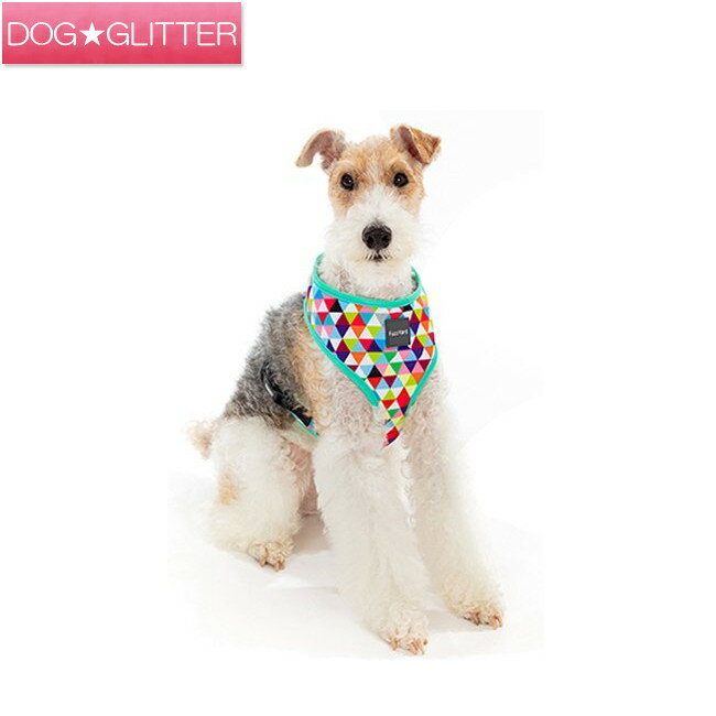 ファズヤード ソフトハーネス プリズマティック XSサイズ