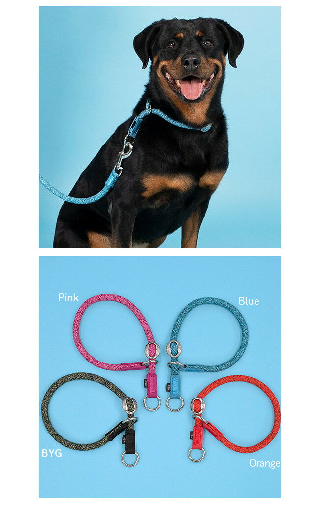 エイチファイブディ スリップオンカラー Mサイズ全4色 4サイズ 犬用 シンプル おし...