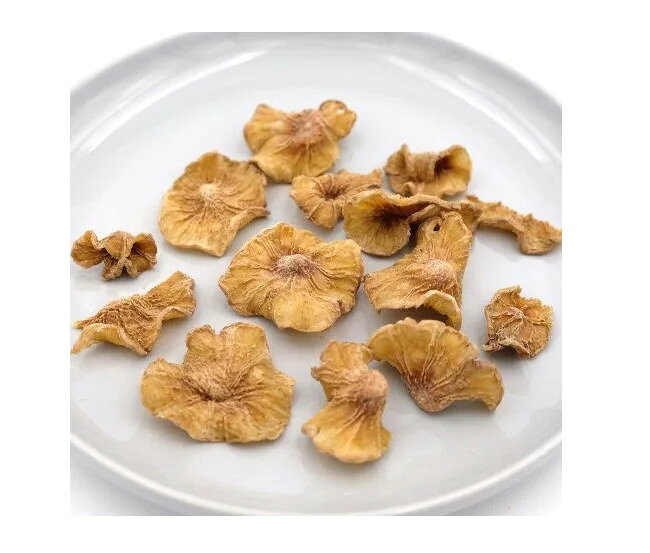 こまちな 野菜のチカラ からだ潤う ヤーコンチップ 20g犬用 おやつ チップス オリ...