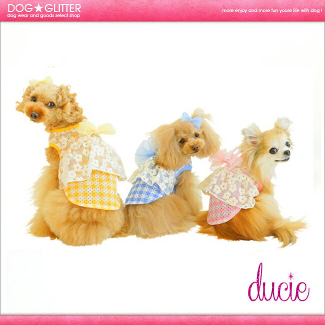 【送料無料】ducie check&flower cape with big ribbon（リボンなしタイプ） Coo Couture（クークチュール）coolxcool(クール×クール)クールクール　 [小型〜中型犬用]【あす楽】