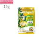 Solidgold ソリッドゴールド ホリスティックブレンド 1kg