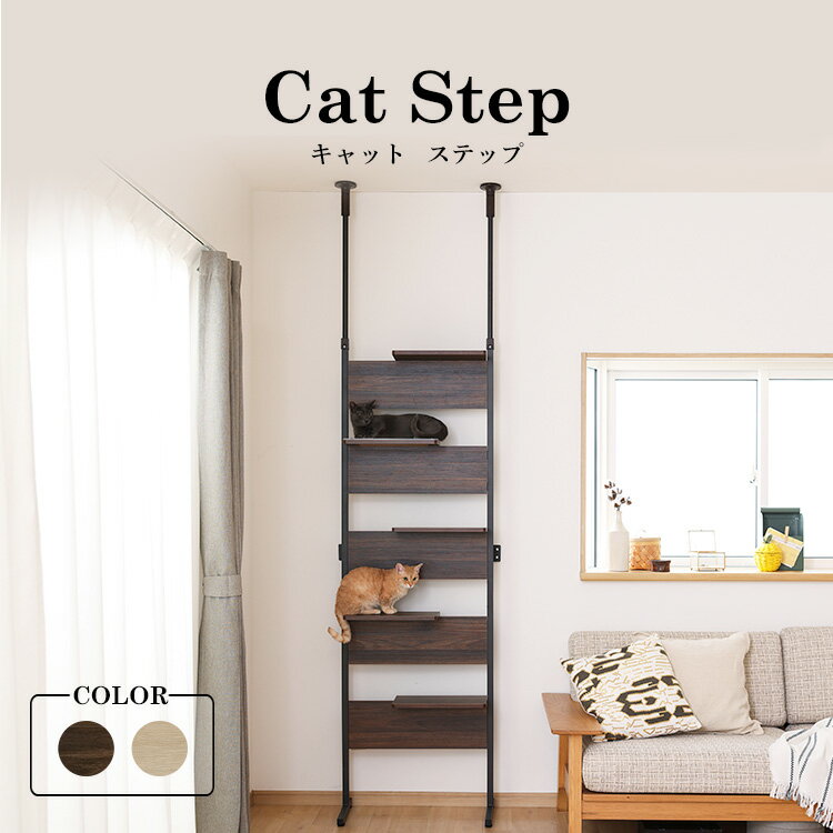 楽天mon apet＼新商品！／キャットタワー スリム 突っ張り ステップ キャットウォーク キャット アイリスオーヤマ 猫 ねこ 付 クリアシェルフ 壁面 おしゃれ インテリア 省スペース 透明 CATS-68