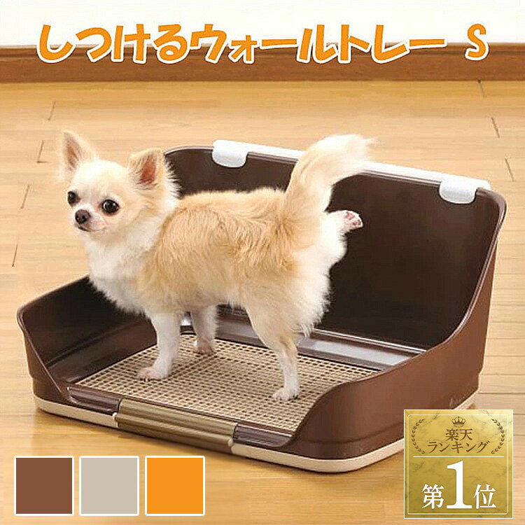 【ポイント2倍！15日限定】犬 トイ