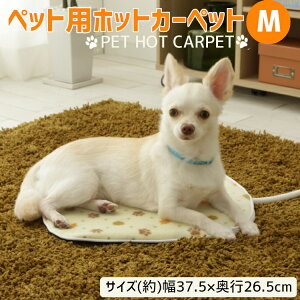 ★ポイント5倍!〜4/16 9:59迄★ ペット ホットカーペット PHK-M 犬 ホットマット ベッド 冬 おしゃれ かわいい あったか グッズ あったかグッズ ペットベッド 犬 猫 猫用 犬用 M Mサイズ小型犬 アイリスオーヤマ irispoint