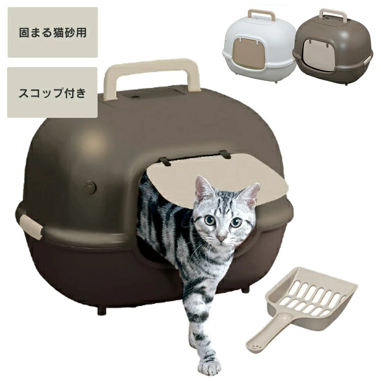 【店内全品P5倍！1日限定】猫 トイ