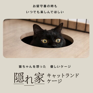 【ポイント3倍!24日21時〜】猫 ケージ キャットケージ 隠れ家キャットランドケージ PKC-600 マットブラウン スリム 送料無料 猫 ケージ キャットケージ キャットゲージ ハウス 室内飼い 猫ケージ 猫ゲージ ねこケージ ねこゲージ ネコケージ アイリスオーヤマ