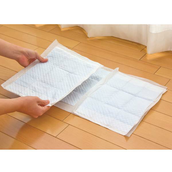 �ڥåȥ����� �ڥåȥ����� ���� ���꡼��ڥåȥ����ĥ쥮��顼�ϡ��ե����� 300�� �� �ȥ��쥷���� �����ä������� �쥮��顼��Ⱦʬ ������������ P-NS-300RH �����ꥹ�������