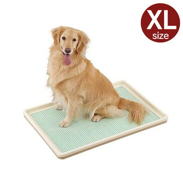 ボンビ しつけるトレー XL メッシュタイプ オフホワイト 送料無料 犬 トイレ 中型犬用 大型犬用 メッシュ付き すのこ付き 大きいトイレ しつけるトイレ 【D】