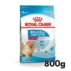 【全品ポイント2倍★25日限定】ロイヤルカナン ミニ インドア パピー 800g 正規品 犬用 ドッグフード ドライ 子犬 仔犬 幼犬 小犬 室内で生活する小型犬 10ヶ月齢まで SHN サイズ別 プレミアムフード ロイカナ ROYALCANIN 【D】[3182550849364]【rcdb53】