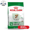 ロイヤルカナン ミニ エイジング12+ 800g 正規品 犬用 ドッグフード ドライ シニア 高齢犬 老犬 小型犬 運動不足 12歳以上 SHN サイズ別 プレミアムフード ロイカナ ROYALCANIN 