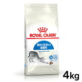 ںǰͤĩۥ륫ʥ å ɥ 4kg  ǭ åȥա ɥ饤 ꥫ   ǭ 12ʾ 7Фޤ ץߥա  ROYALCANIN D[3182550706933]rccf06