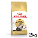 ロイヤルカナン ペルシャ・チンチラ・ヒマラヤン 成猫用 2kg 正規品 猫用 キャットフード ドライ カリカリ アダルト 成猫 12ヵ月齢以上 12歳まで プレミアムフード ロイカナ ROYALCANIN 【D】[3182550702614]【rccf38】