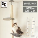 キャットタワー スリム 木登りキャットポール KCCT‐244送料無料 猫タワー 突っ張り キャットランド 猫ツリー 木製 省スペース 爪とぎ 多頭飼い シンプ...