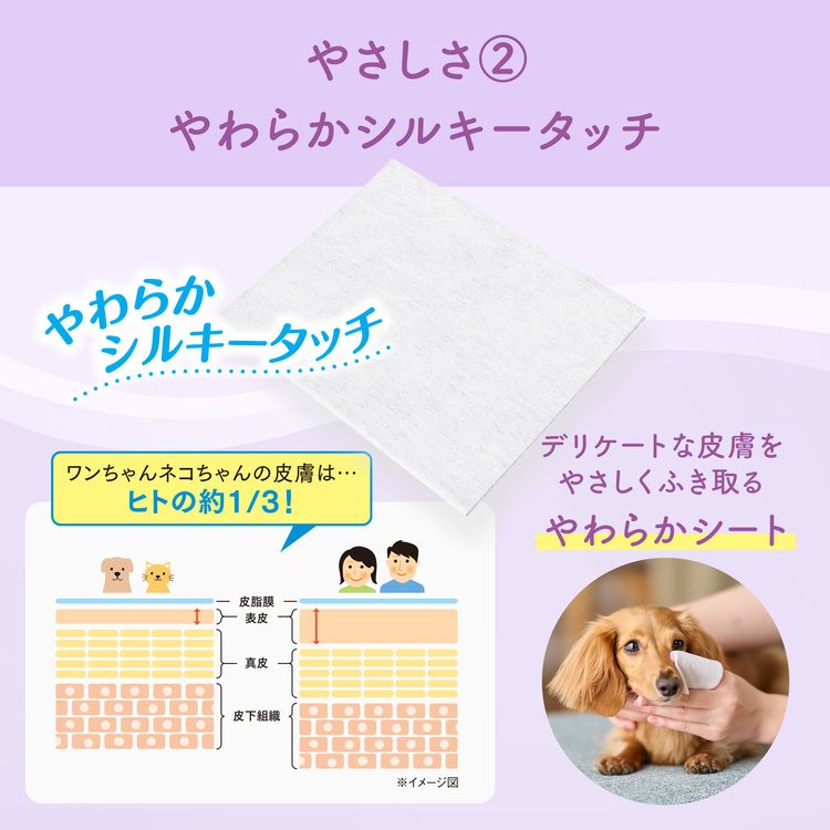 【12個セット】キミおもい 肌にやさしいウエットティシュー 送料無料 ペット用 ウ...