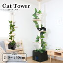 キャットタワー スリム 猫用品 つめとぎ ねこの休ら木 ソラ ナチュラル 58203ペット ペット用品 ねこ 爪とぎポール 突っ張りタイプ クリアボード 爪とぎ ネコ インテリア 【B】