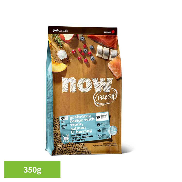 キャットフード ドライ ナウフレッシュ NOW FRESH フィッシュ アダルト キャット 350g お試し 成猫用 総合栄養食 ミールフリー グレインフリー グルテンフリー 人工保存料 香料 着色料 不使用 猫 ペットキュリアン *