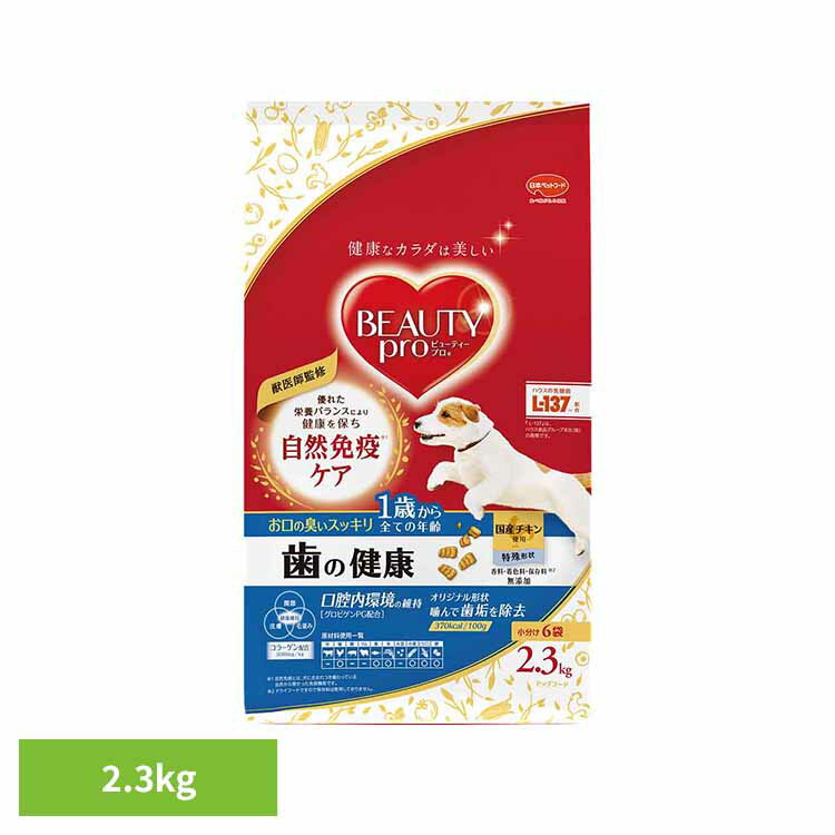 ドッグフード ビューティープロ ドッグ 歯の健康 1歳から ドライフード 成犬用 シニア 対応 総合栄養食..