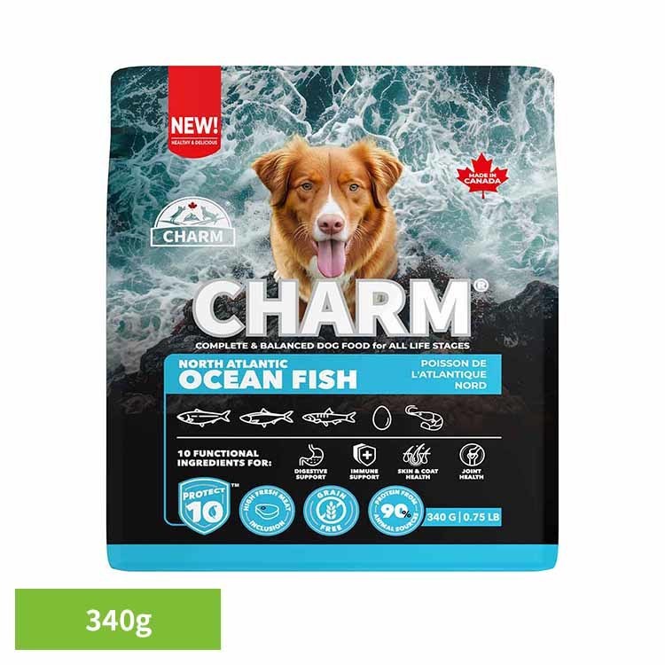 Rakuten - CHARM ノース・アトランティック・オーシャン・フィッシュドッグフード 340g チャーム ドッグフード プレミアムフード グレインフリー 犬 ナチュラル アレルギー 小粒 無添加 肥満 チャーム