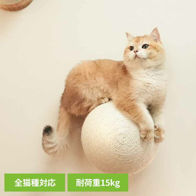 Rakuten - CATURN N18 キャターン爪研ぎボール MZ0001キャットウォーク キャットステップ 猫用品 ペット用品 猫家具 爪研ぎ 壁掛け ペット共生 猫部屋 賃貸おすすめ 長彩株式会社 【B】