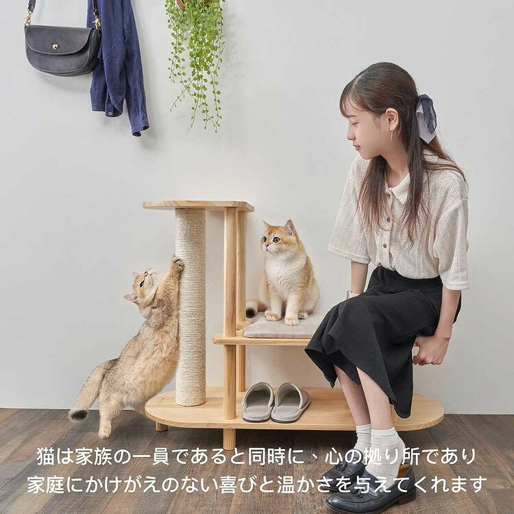 TRINESTシューズスツール MZ0047キャットウォーク キャットステップ 猫用品 ペット用品 猫家具 スツール 爪研ぎ ペット共生 猫部屋 賃貸おすすめ 長彩株式会社 【B】 dogland-10209817 mon apet サンプル画像2