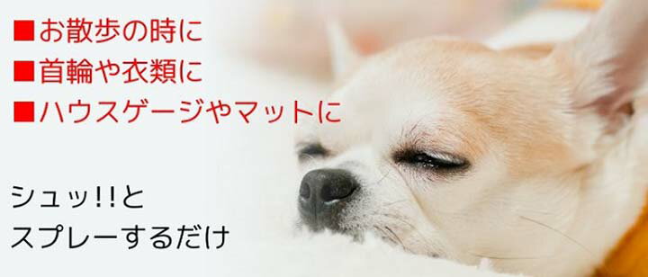 �ڸ� ��褱�ۥХ����ե��ץ졼 300ml�ڻ��� ������ �ķ�ۥڥåȥˡ��� ��TC��