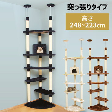 【200円クーポン対象!】キャットタワー 突っ張り ツインポール ベージュ ブラウン ネイビー 送料無料 スリム 省スペース おしゃれ コーナー 猫タワー 多頭飼い 複数飼い おもちゃ 爪とぎ 爪みがき 運動不足 ドッグパーク 【D】【rank2】