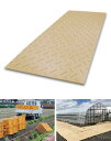 【法人限定】WPT Diban 片面凸 3x6(910mm x 1820mm x 13mm)【北海道、沖縄、離島配送不可】
