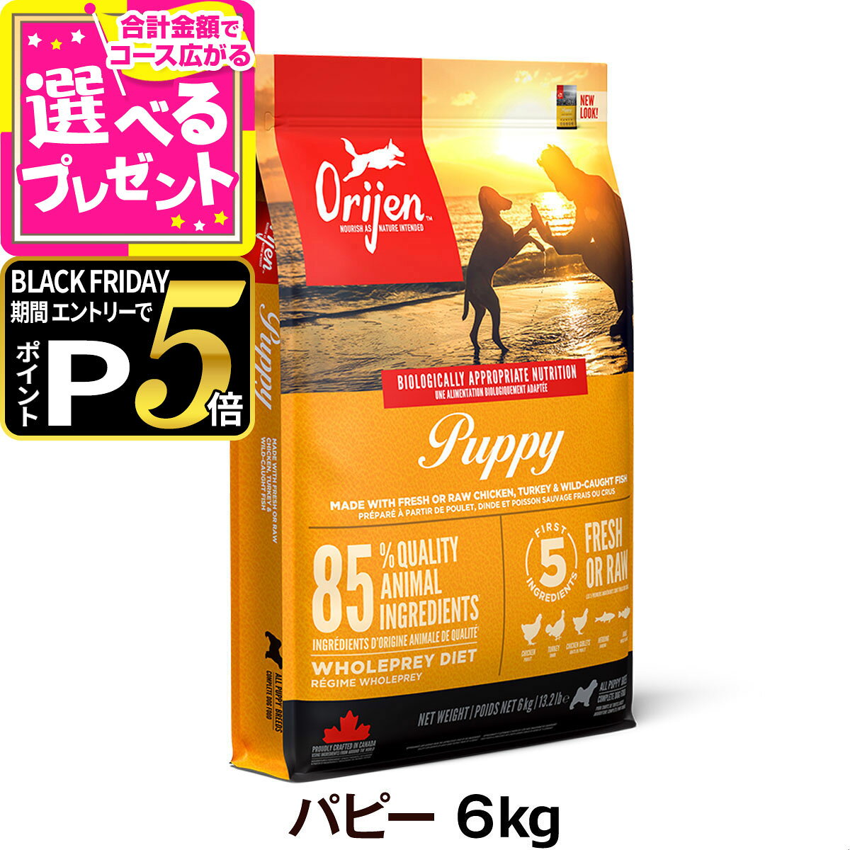 【ブラックフライデー限定!エントリーでさらにP5倍】オリジン パピー 6kg ドッグフード 犬【D】
