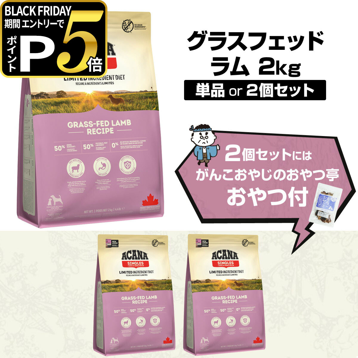 【ブラックフライデー限定!エント