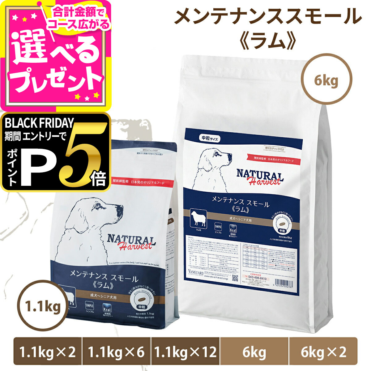 【ブラックフライデー限定!エント