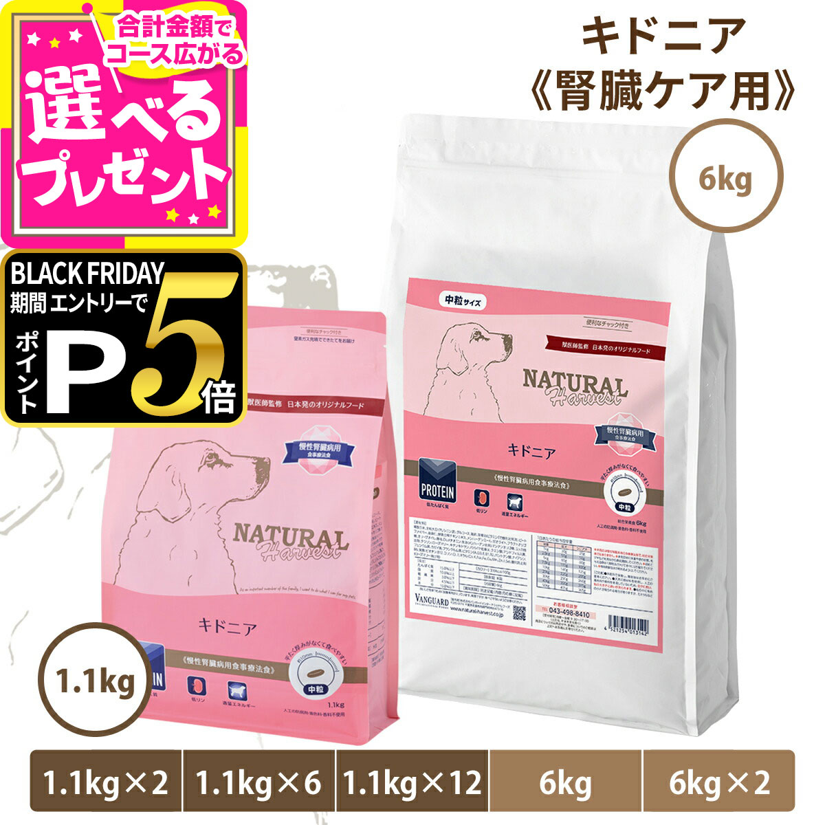 【ブラックフライデー限定!エント