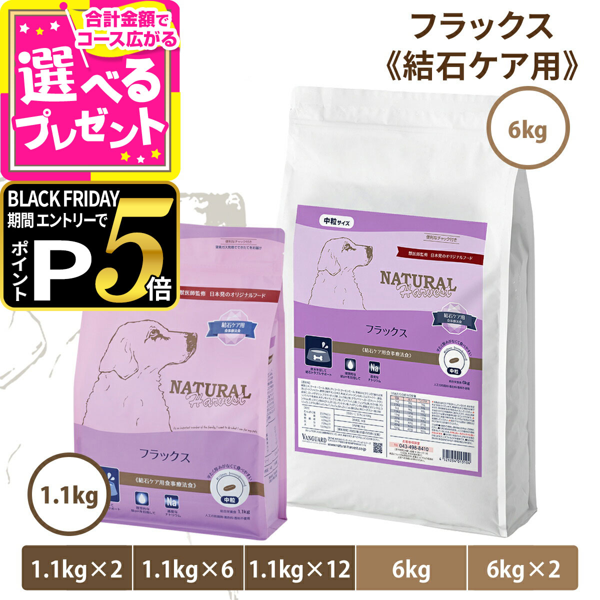 【ブラックフライデー限定!エント