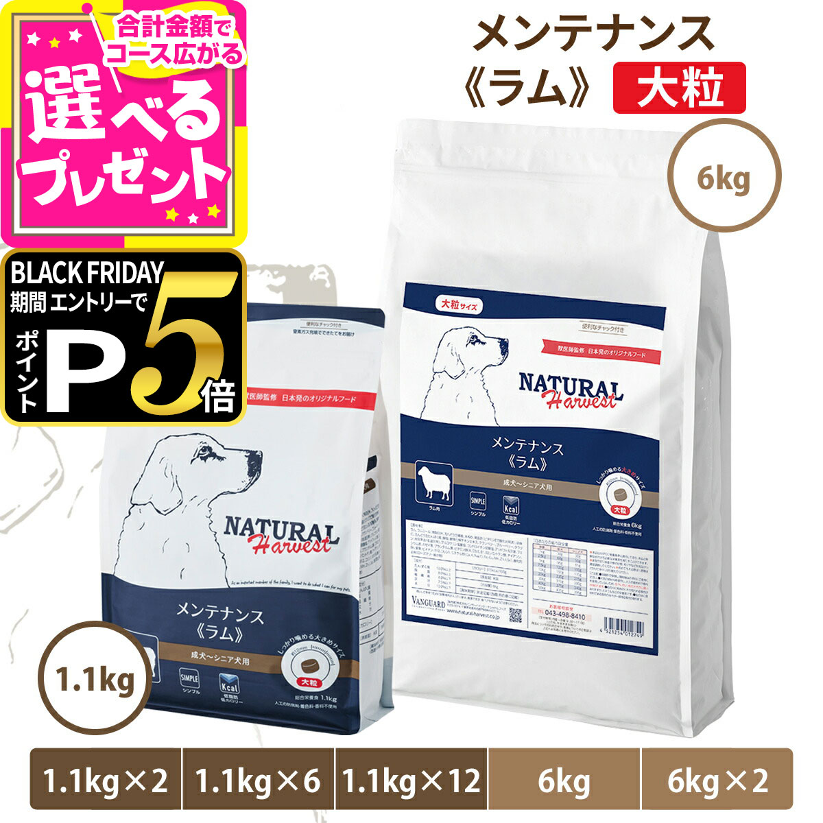 【ブラックフライデー限定!エント